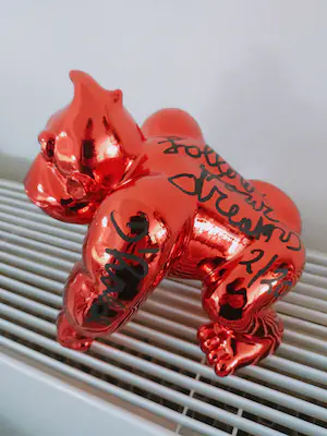 Hannes D'Haese - Donkey Follow your dreams kopen? Bied vanaf 75!