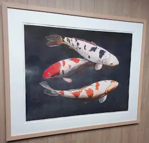 Marcel Schellekens - Koi karpers, aquatint ets (netjes ingelijst, groot!) kopen? Bied vanaf 350!