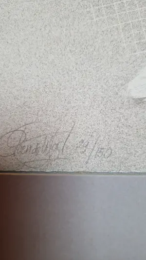 Poen de Wijs - Modella kopen? Bied vanaf 25!