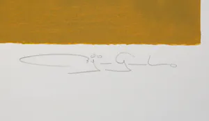 Gerard Bijnens - Zeefdruk, Tekens in tijdloze kleurvelden kopen? Bied vanaf 1!