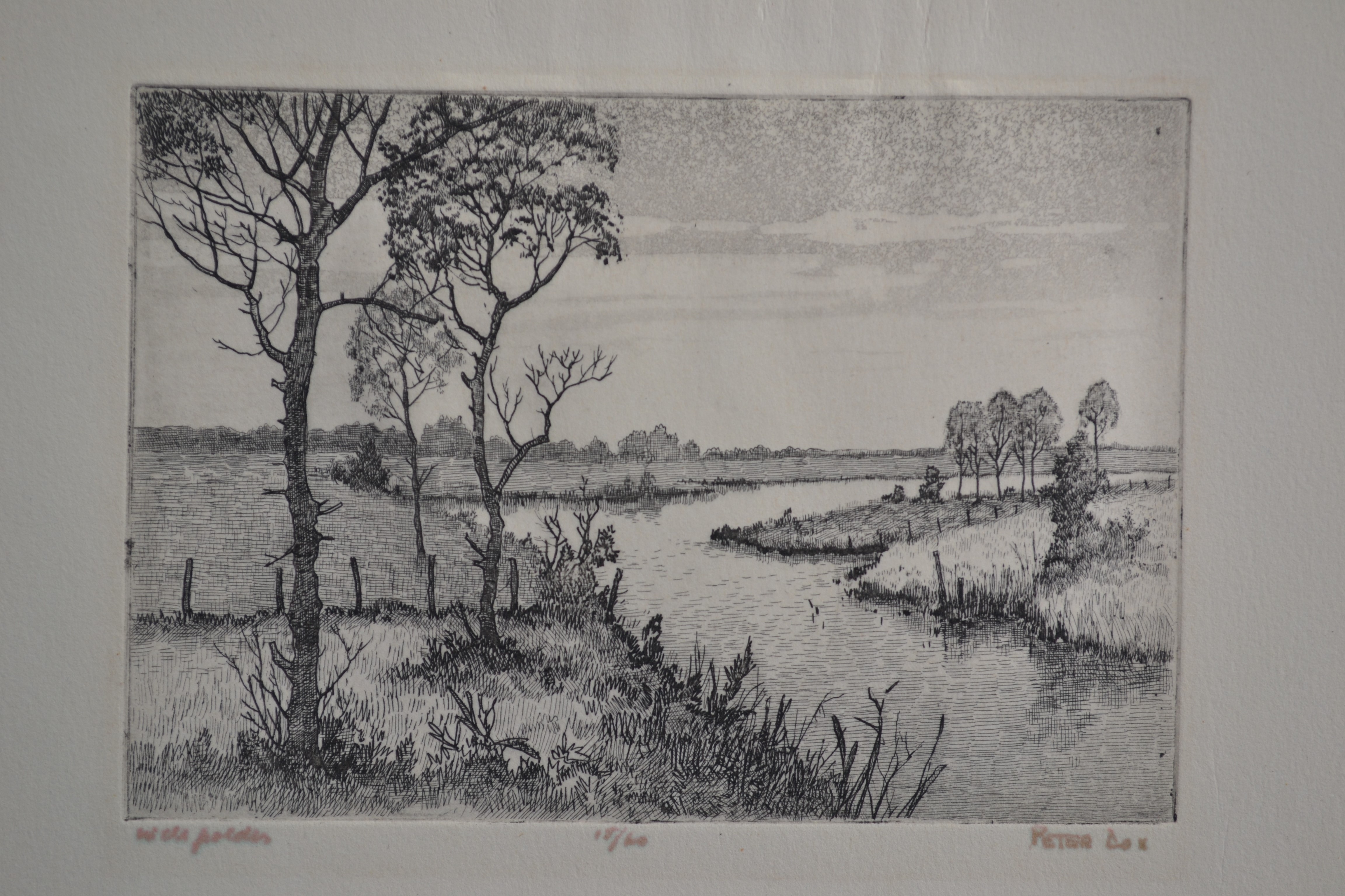 Peter Cox - Ets - In de polder - Gesigneerd - oplage 15/60 kopen? Bied vanaf 20!