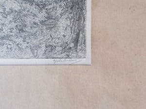 Jan Coenraad Nachenius - Bosgezicht met aloës in Zuid-Afrika - 1921/1922 kopen? Bied vanaf 50!