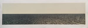 Willem de Vries - Houtsnede - 'Panorama VI' - 1986 kopen? Bied vanaf 50!
