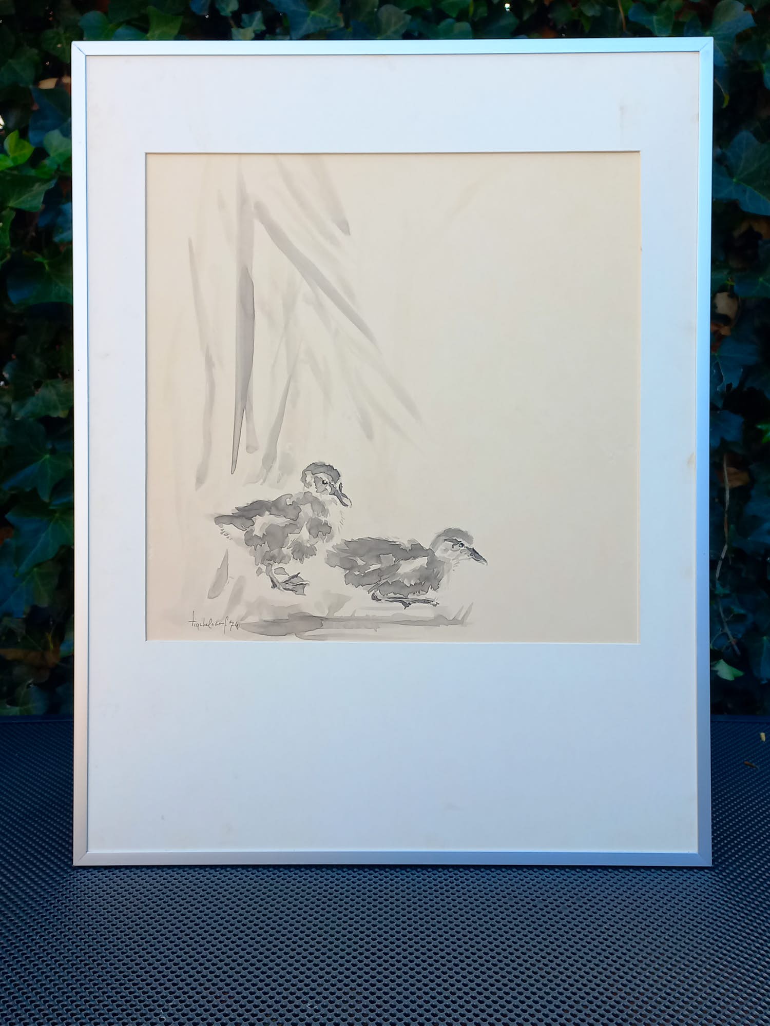 Andre Tigchelaar - eendjes kopen? Bied vanaf 74!