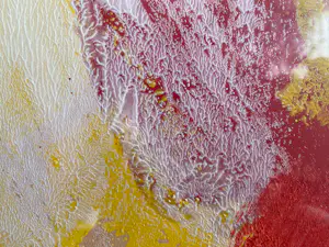 Jan Cremer - Tulips One red One blue 1993 kopen? Bied vanaf 5000!