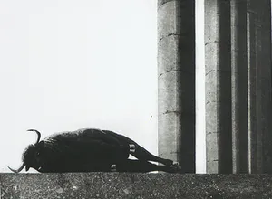 Rene Polak - Ets en aquatint, Zonder titel kopen? Bied vanaf 1!