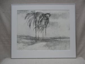 Ab Jongmans - Vier palmen kopen? Bied vanaf 50!