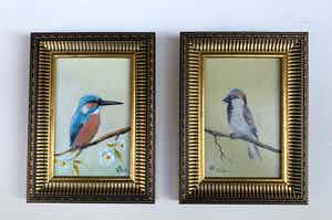 Henk Poeder - Vogels verkocht voor € 79!