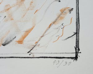 Co Westerik - Hond met vogel, litho (groot) kopen? Bied vanaf 275!