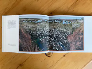 Siemen Dijkstra - Dwingelderveld In Transit kopen? Bied vanaf 45!