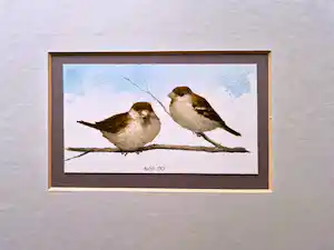 Jan Bos - Prachtig geschilderde aquarel "Mussen op tak" gesigneerd - in passe partout verkauft für € 68!