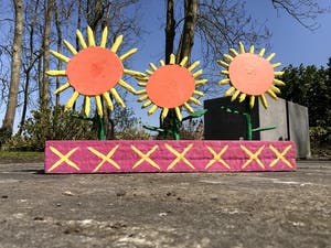 Peter Bastiaanssen - Zonnebloemen in Roze Bak - Hout kopen? Bied vanaf 1!