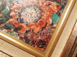 Renaat Saey - Protea's kopen? Bied vanaf 60!