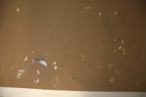 Karel Appel - De gedresseerde circuskloe met dansende kat kopen? Bied vanaf 100!