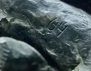 Guus Hellegers - Trots paardje kopen? Bied vanaf 400!