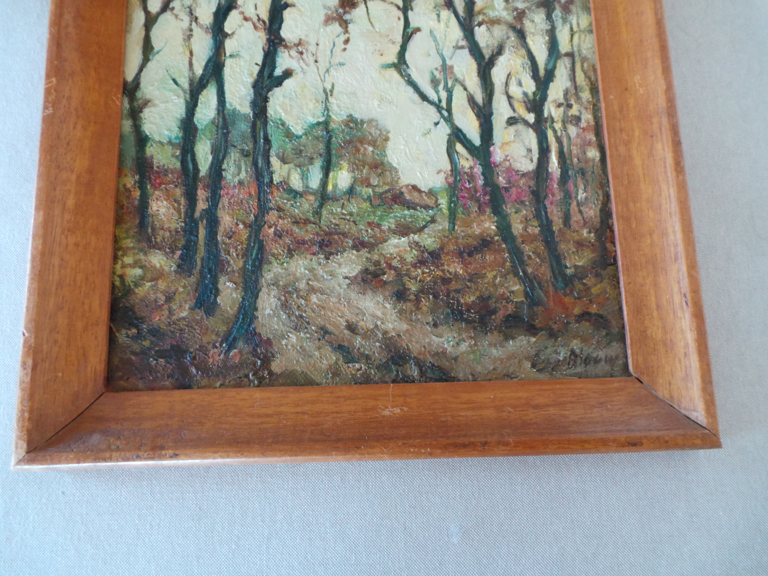 Niet of onleesbaar gesigneerd - Bosgezicht 20 eeuw kopen? Bied vanaf 1!