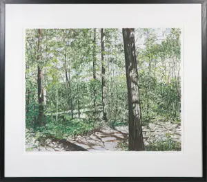 Karin Elfrink - 4039249 Zeefdruk, Bomen Bos Koningsduin - Ingelijst kaufen? Bieten Sie von 60!