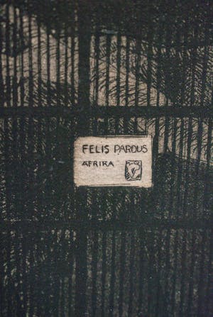 Niet of onleesbaar gesigneerd - Dierentuin kopen? Bied vanaf 1!