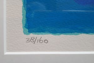 Wouter Stips - Droomvliegen kopen? Bied vanaf 65!