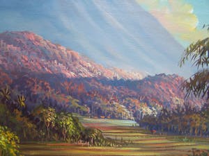 Niet of onleesbaar gesigneerd - Indisch Landschap kopen? Bied vanaf 10!