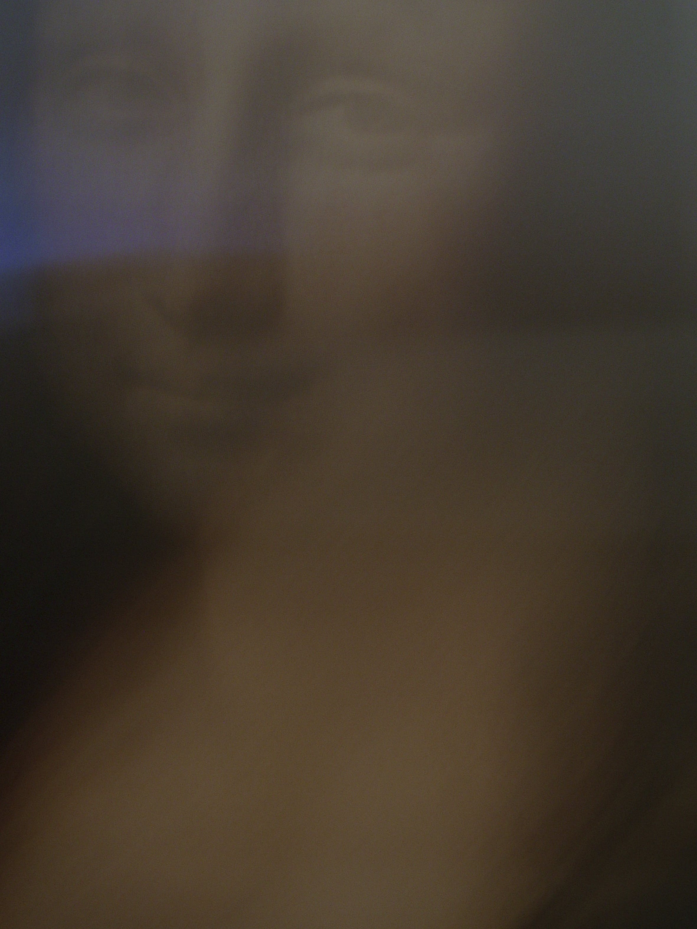 Evert Bongers - Mona Lisa 1 kopen? Bied vanaf 350!