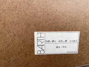 Hugo Brouwer - Naakt kopen? Bied vanaf 40!