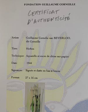 Corneille - Kruiden (Bloemendaal) kopen? Bied vanaf 1600!