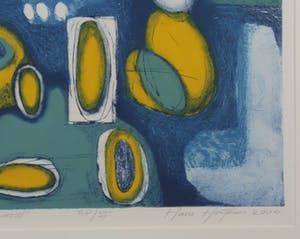 Hans Heijman - Hans Heijman: Ets, Reis in de binnenwereld - Ingelijst kopen? Bied vanaf 18!