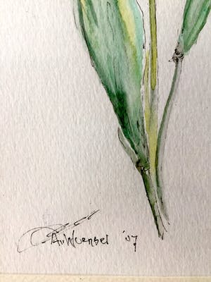 Aart van Woensel - Tulpen - Aquarel, Ingelijst kopen? Bied vanaf 25!