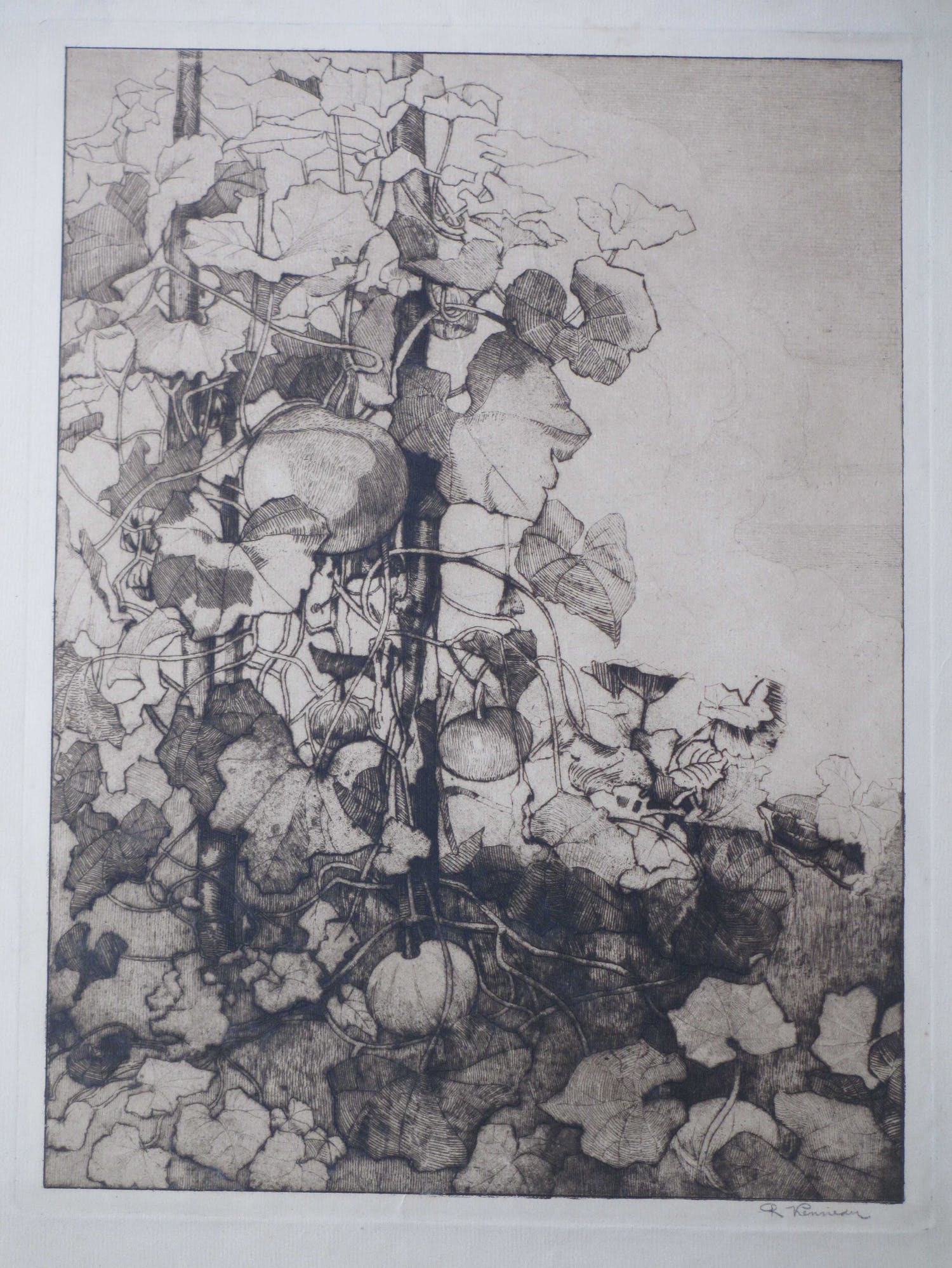 Reinier Willem Kennedy (1881-1960)