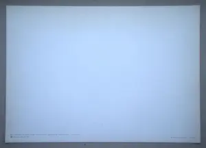 Pablo Picasso - Jong wild, paard, vogel - Offsetdruk - 1966 kopen? Bied vanaf 50!