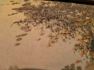 Dumont - Diptiek: Minnewater Brugge kopen? Bied vanaf 40!