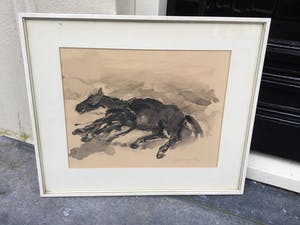Jan Groenestein - C4575-5 - Dood paard kopen? Bied vanaf 175!