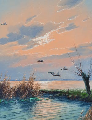 Gien Brouwer - Plasgezicht met eenden kopen? Bied vanaf 165!