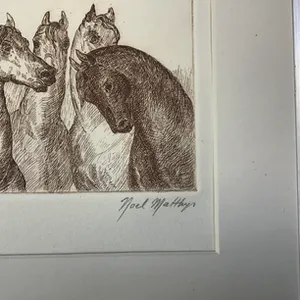 Noël Matthijs - 4 paarden kopen? Bied vanaf 1!