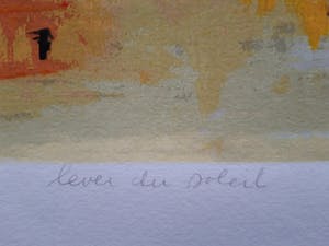 Nicole Schaap - LEVER DU SOLEIL kopen? Bied vanaf 45!