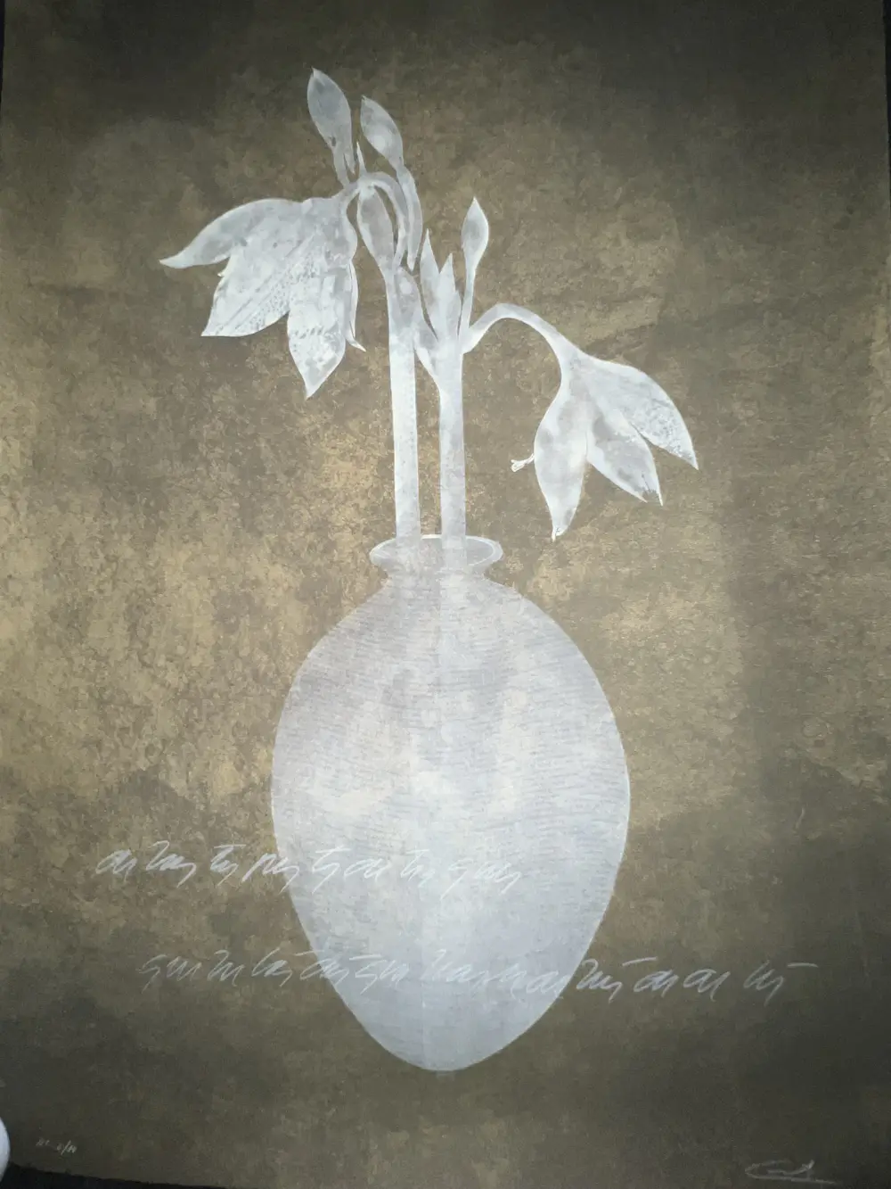 Guillermo Conte (1956)