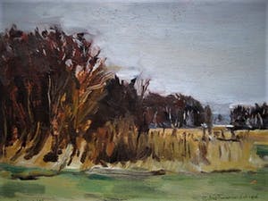 Selma Timmerman - finalist Prix de Rome 1979 - olieverf "Landschap bij Assendelft" gesigneerd kopen? Bied vanaf 10!