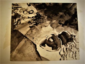Jo Manders - Jaren 60 Illusionistisch realisme - Grote "Insecten" Sepia tekening - gesigneerd kopen? Bied vanaf 15!