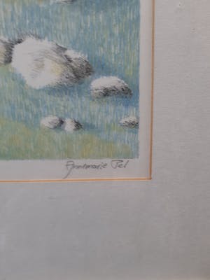 Annemarie Pel - Stenen landschap kopen? Bied vanaf 30!