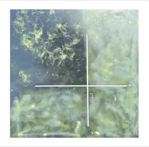 Maurice Grothausen - RELIËFPANELEN XXL – PLUS kopen? Bied vanaf 125!