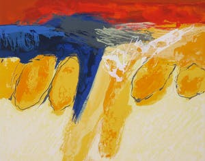 Robbert Fortgens - Zeefdruk, Voorjaar kopen? Bied vanaf 1!