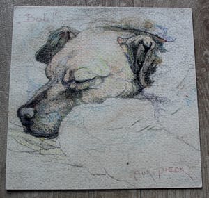 Adri Pieck - aquarel: Bob kopen? Bied vanaf 1!
