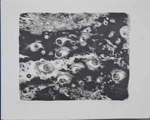 Jan Mensinga - De Schepping - 7 handgesigneerde litho's kopen? Bied vanaf 110!