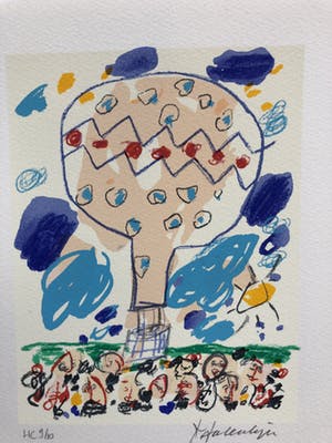 Kees Salentijn - De balonvaart kopen? Bied vanaf 45!