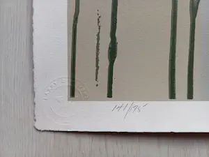 Larry Poons - Siebdruck - Auflage von 175 - signiert - nummeriert - (76 x 56 cm) kopen? Bied vanaf 399!