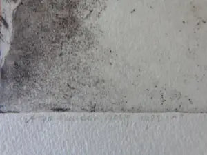 Arja van den Berg - LOT VAN 2 STUKS / ETS / 26x29cm / SIG kopen? Bied vanaf 25!