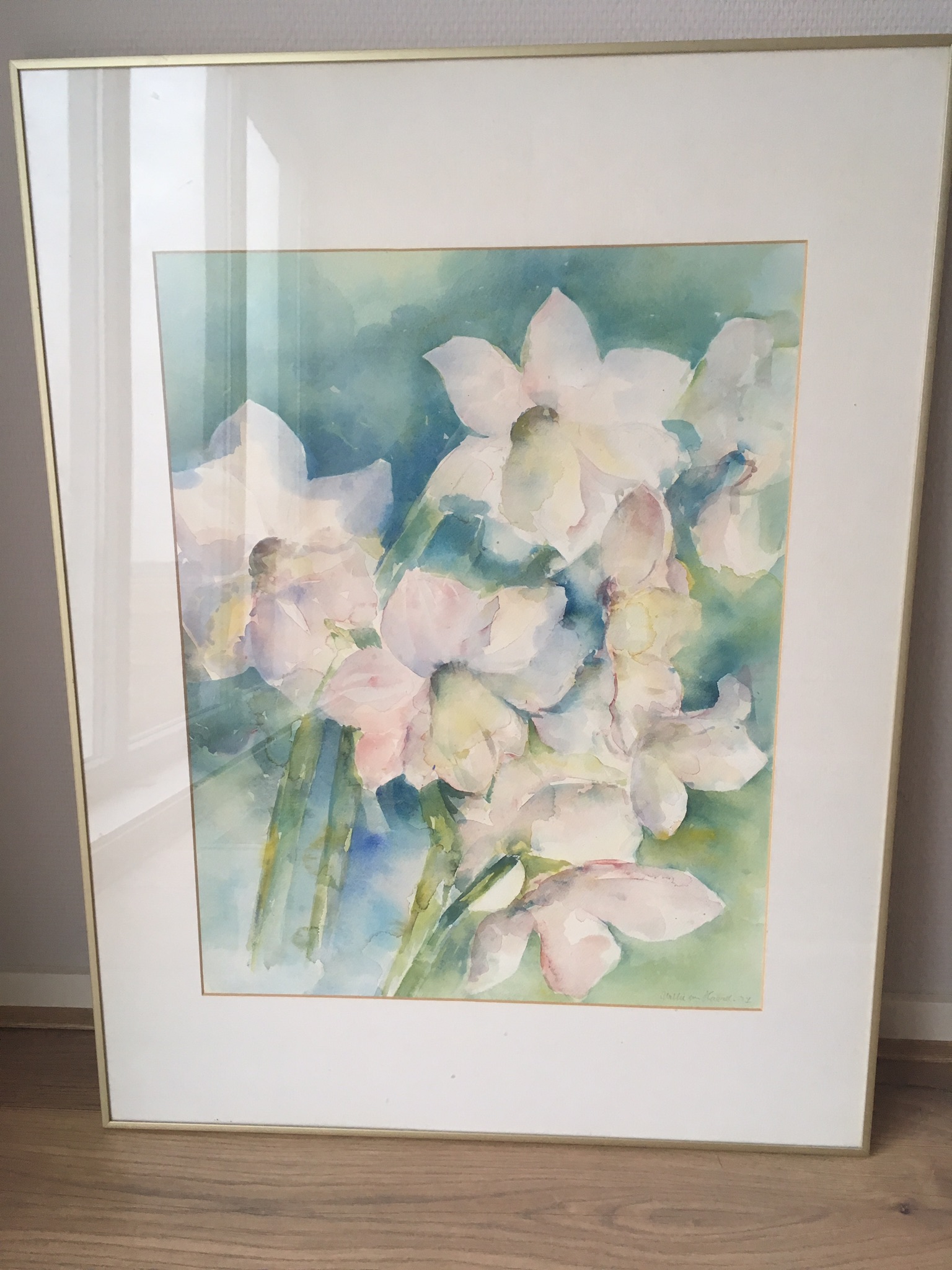 Willie van Haard - Amaryllis kopen? Bied vanaf 200!