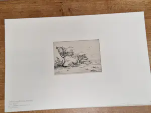 Anthony van Borssum - Rustende koeien kopen? Bied vanaf 200!