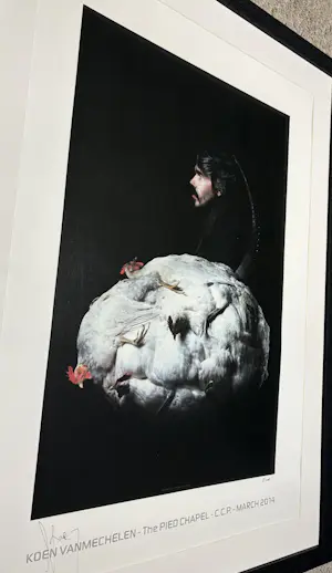 Koen Vanmechelen - Offset Koen Vanmechelen kopen? Bied vanaf 575!